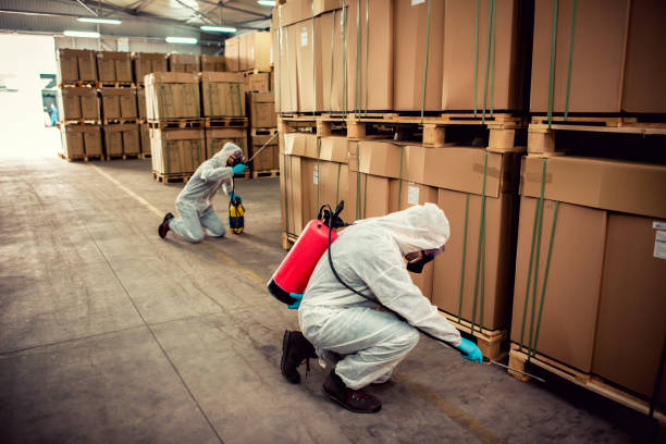 Best Wasp Removal Services  in Bedminster, NJ