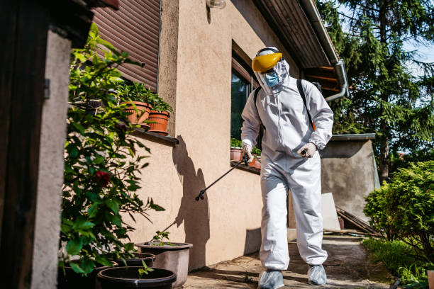 Best Mosquito Control Services  in Bedminster, NJ