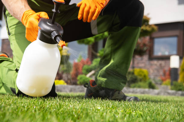 Best Rodent Control Near Me  in Bedminster, NJ