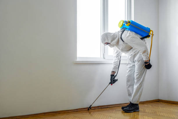 Trusted Bedminster, NJ Pest Control Experts