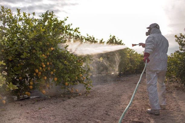 Best Affordable Pest Control Services  in Bedminster, NJ