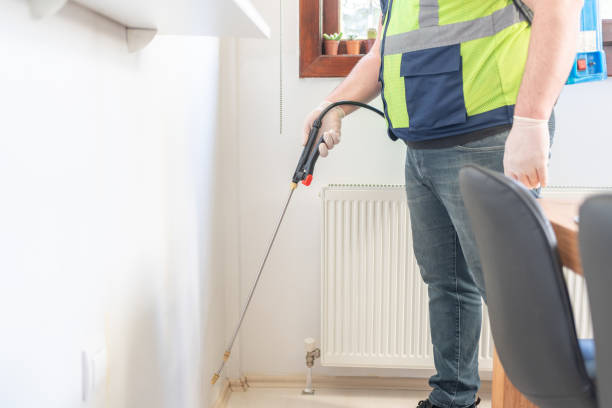 Best Termite Control Services  in Bedminster, NJ