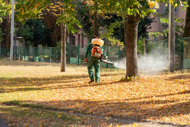 Best Pest Control Treatment  in Bedminster, NJ