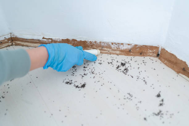 Best Commercial Pest Control Services  in Bedminster, NJ